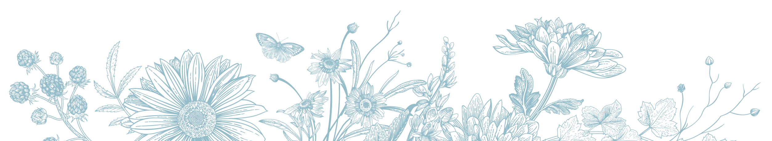 Illustrated floral banner.